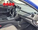 HONDA CIVIC 1.0T